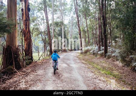 A child cycles at speed in Mt Evelyn on the popular Lilydale to Warburton Rail Trail on a warm autumn day in Victoria, Australia Stock Photo