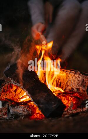 Picnic by the fire in the forest Stock Photo