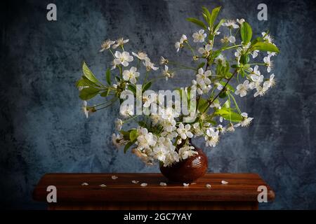 Cherry blossoms. Bouquet of cherry branches on the background of an old wall Stock Photo