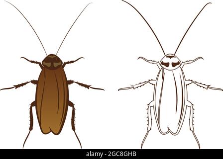 Cockroach or Blattodea Vector Illustration Fill and Outline Isolated on White Background. Insects Bugs Worms Pest and Flies.Entomology or Pest Control Stock Vector
