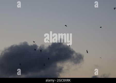 Cloud formations seen on a windy day in summer 2021. Stock Photo
