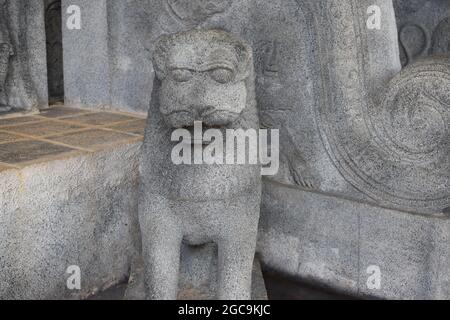 A lion carved in cement placed as interior décor at a sports pavilion. Army Ordinance camp Dombagoda. Sri Lanka.