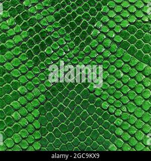 Green snake skin texture. Reptile and serpent scales surface. Graphic resource and background. Vector illustration. Stock Vector