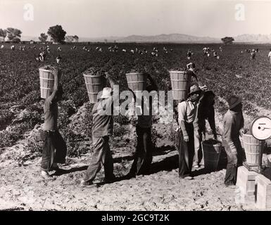 Pea pickers during American Depression in the Dustbowl taken by Dorothea Lange Stock Photo