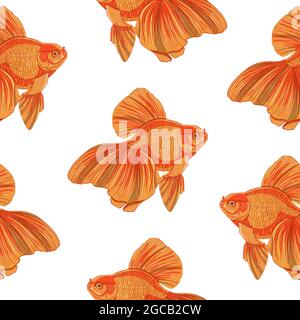 Digital illustration of orange detailed aquarium goldfish seamless pattern on white isolated background. High quality illustration Stock Photo