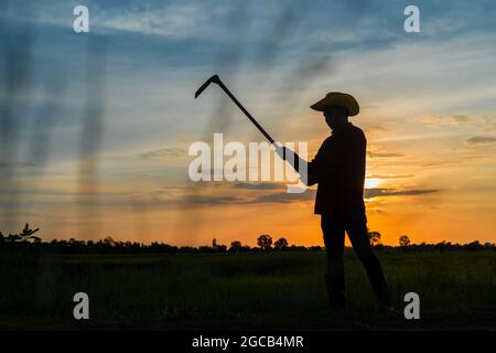 Male farmer holding a hoe in a field at sunset Stock Photo
