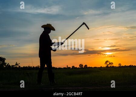 Male farmer holding a hoe in a field at sunset Stock Photo