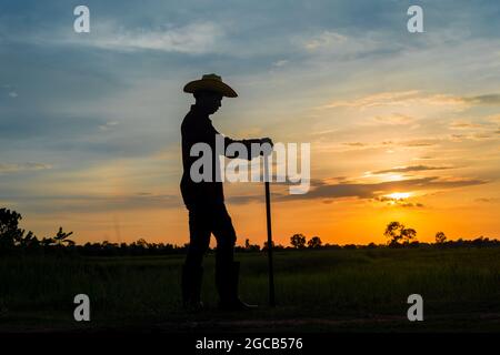 Male farmer holding a hoe in a field at sunset Stock Photo