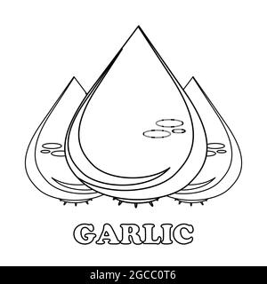garlic coloring page. healthy food coloring page for children. on white background Stock Photo