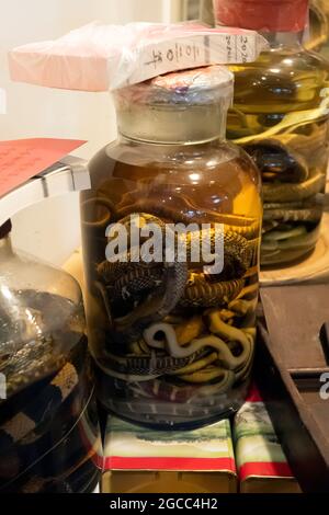 Preserved snakes in bottles used for Chinese medicine, Hong Kong, China. Stock Photo