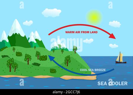 Science poster design for sea and land breeze. Thermal warm and cold air circulation diagram. Diagram showing circulation thermal and cool wind.Vector Stock Vector