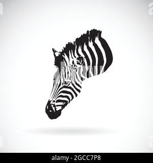 Vector of an zebra head on white background. Wild Animals. Easy editable layered vector illustration. Stock Vector