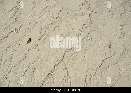 Natural sand patterns created by water drainage on Scottish beach Stock Photo