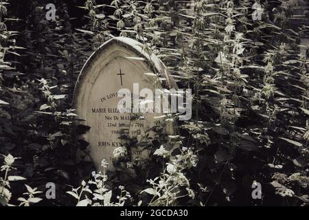 Old gravestone overgrown with vegetation in historic cemetery Stock Photo