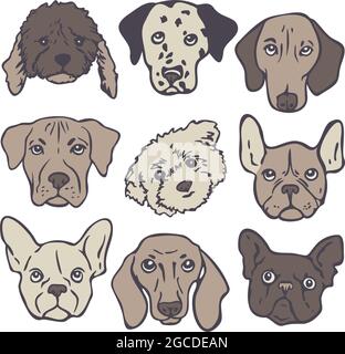 Vector illustration set with dog faces of different breeds. Collection of cute dog portraits. Stock Vector