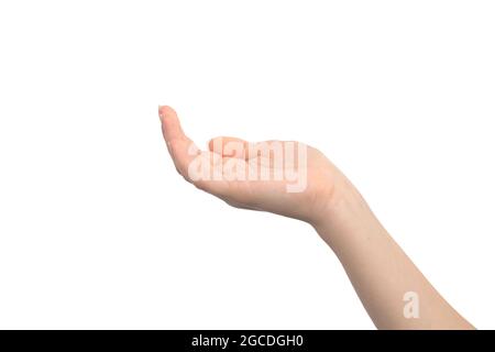 Empty hand palm up gesture, isolated on a white background, young female hand closeup Stock Photo