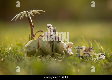 Lego star wars minifigure stormtrooper on Dewback Stock Photo
