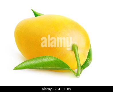 Tropical fruit. One yellow mango with leaf isolated on white background Stock Photo