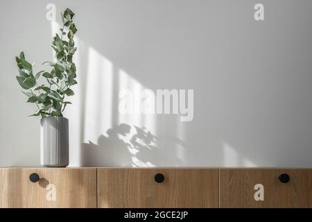 Dry eucalyptus branches in modern minimalist grey vase on wooden TV stand with beautiful shadows from sun on white wall Stock Photo