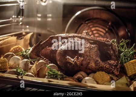 Whole duck on a baking tray with corn, herbs, mushrooms and potatoes cooking in a home electric oven Stock Photo