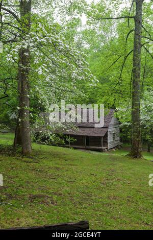 Bud Ogle Cabin in the Great Smoky Mountains National Park Stock Photo