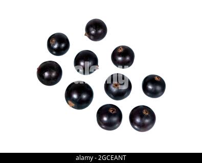 Currant berries solated on white background. Black currant. Stock Photo
