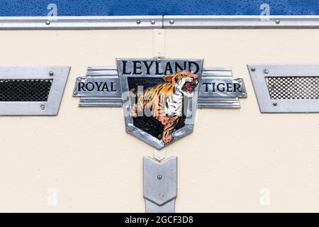 Royal Tigers Cricket Club (@Royaltiger_cc) / X