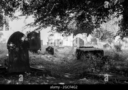 Graveyard at All Saints' Church, Ripley, England  on 8th July 2008 in black and white Stock Photo