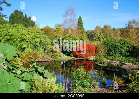 Gardens in autumn, Chartwell house, Westerham, Kent, England, United Kingdom Stock Photo