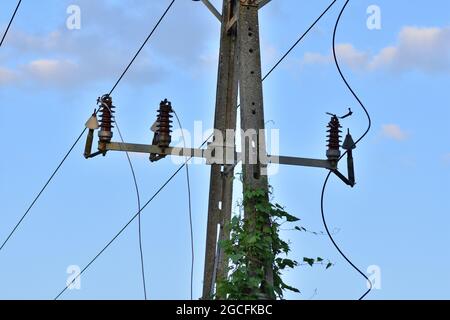 Old power pole disconnected from electricity, insulators and cables. Stock Photo