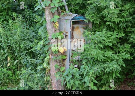 Old power pole disconnected from electricity, insulators and cables. Stock Photo