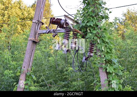Old power pole disconnected from electricity, insulators and cables. Stock Photo