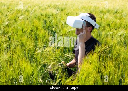 Man using virtual reality glasses outside in nature on a wheat farming field. Stock Photo