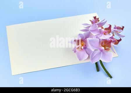 Blank paper with orchids on a blue background, copy space. Stock Photo