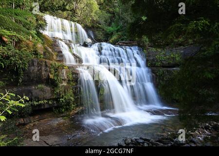 liffey falls waterfall in tasmania Stock Photo