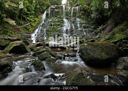 nelson falls waterfall in tasmania Stock Photo