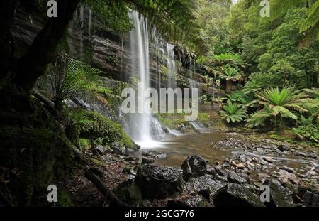 russell falls waterfall in tasmania Stock Photo