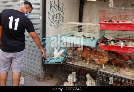 Beirut, Lebanon. 08th Aug, 2021. An animal stall seen at Souq el Ahad (Sunday Market), Beirut, Lebanon, on August 8, 2021. Prices hike have become a hard issue for Lebanon, as more than half of the population has fallen under the poverty line since the economic and financial crisis started in 2019.(Photo by Elisa Gestri/Sipa USA) Credit: Sipa USA/Alamy Live News Stock Photo