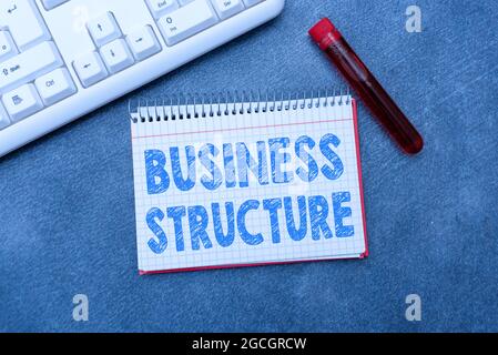 Writing displaying text Business Structure. Business approach Organization framework that is legally recognized Typing Medical Notes Scientific Stock Photo