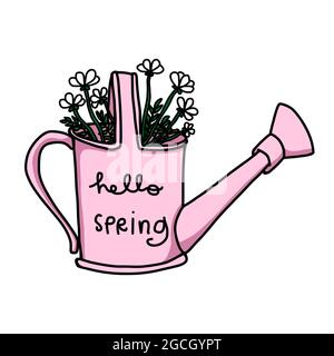 Daisy flowers in water can, hello spring cartoon vector illustration Stock Vector