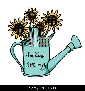 Sunflower flowers in water can, hello spring cartoon vector illustration Stock Vector