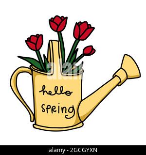 Tulip flowers in water can, hello spring cartoon vector illustration Stock Vector