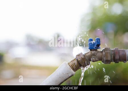 Exterior water faucet with garden hose leaking water Stock Photo - Alamy