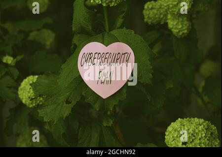 Text sign showing Cybersecurity Plan. Word for Techniques of protecting computer and system from attacks Heart Shaped Paper On Top Of Outdoor Nature Stock Photo