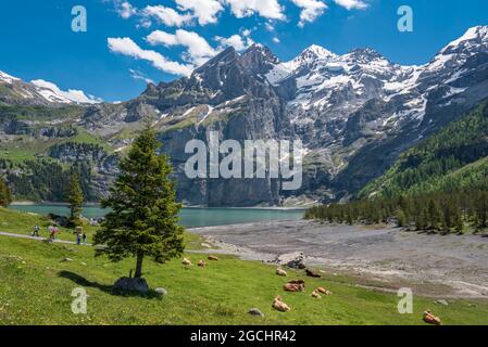 geography / travel, Switzerland, landscape at Oeschinen Lake (Oeschinensee) with Blueemlisalp, ADDITIONAL-RIGHTS-CLEARANCE-INFO-NOT-AVAILABLE Stock Photo