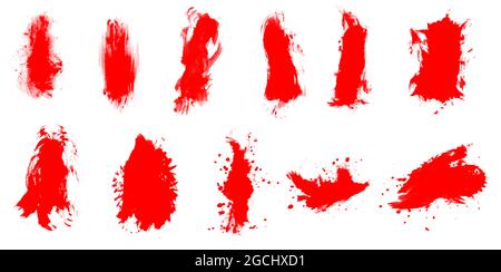 Beautiful watercolor brush set isolated on white background for painting Stock Photo