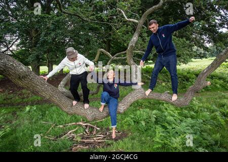 Group of young people in the park climbing a tree Stock Photo