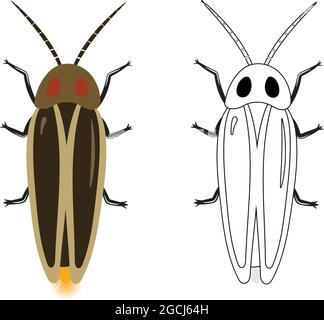 Firefly or Lampyridae Vector Illustration Fill and Outline Isolated on White Background. Insects Bugs Worms Pest and Flies. Entomology or Pest Control Stock Vector