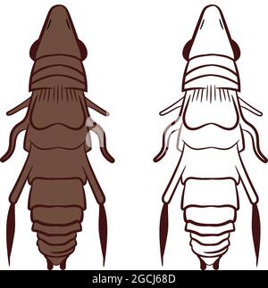 Flea or Siphonaptera Vector Illustration Fill and Outline Isolated on White Background. Insects Bugs Worms Pest and Flies.Entomology or Pest Control B Stock Vector