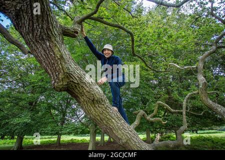 Young hipster man climbing on a tree in a park